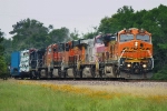 BNSF 600, 660, 7160, 1086, 4639, PRLX 4053